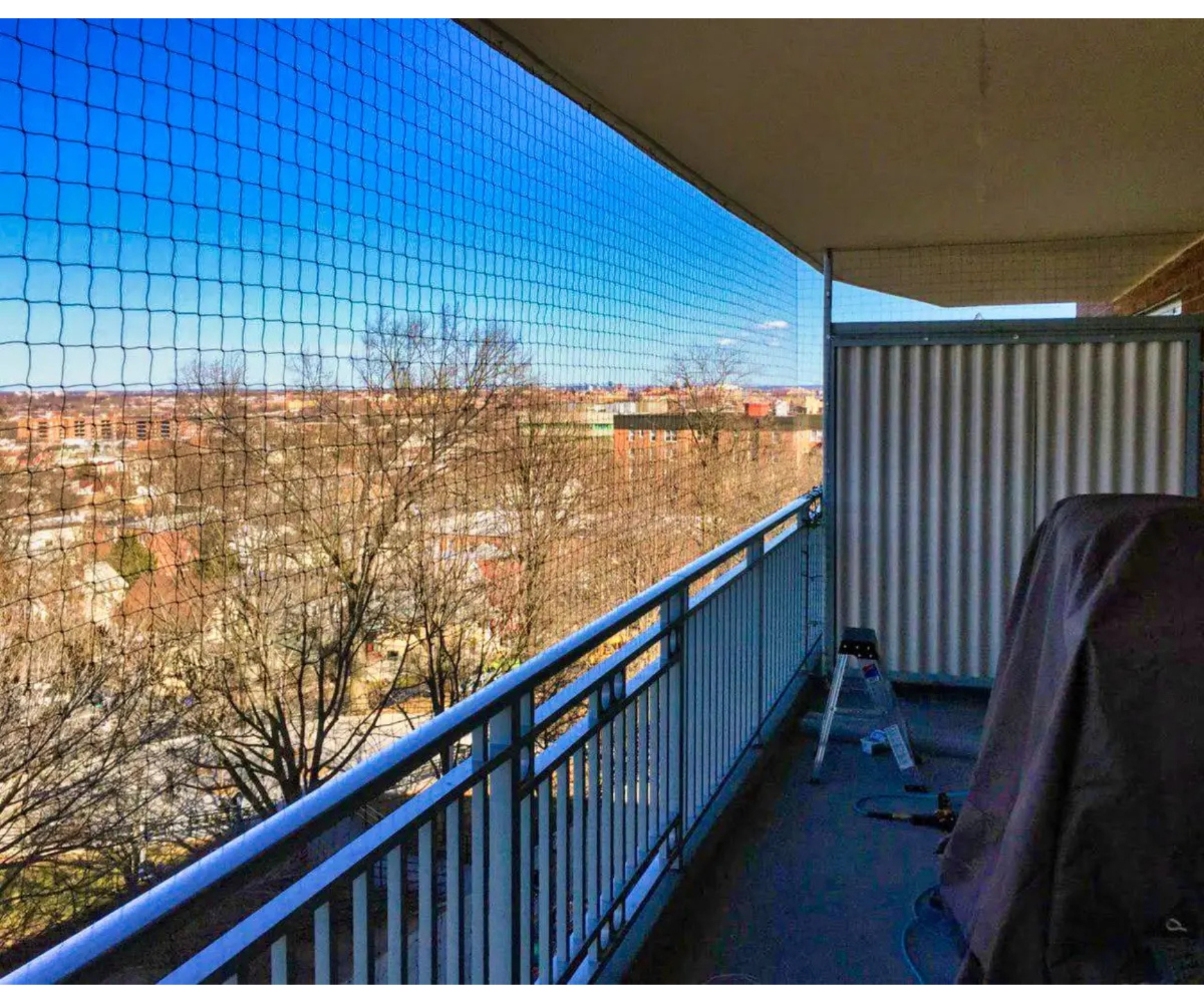 Untitled design (10)