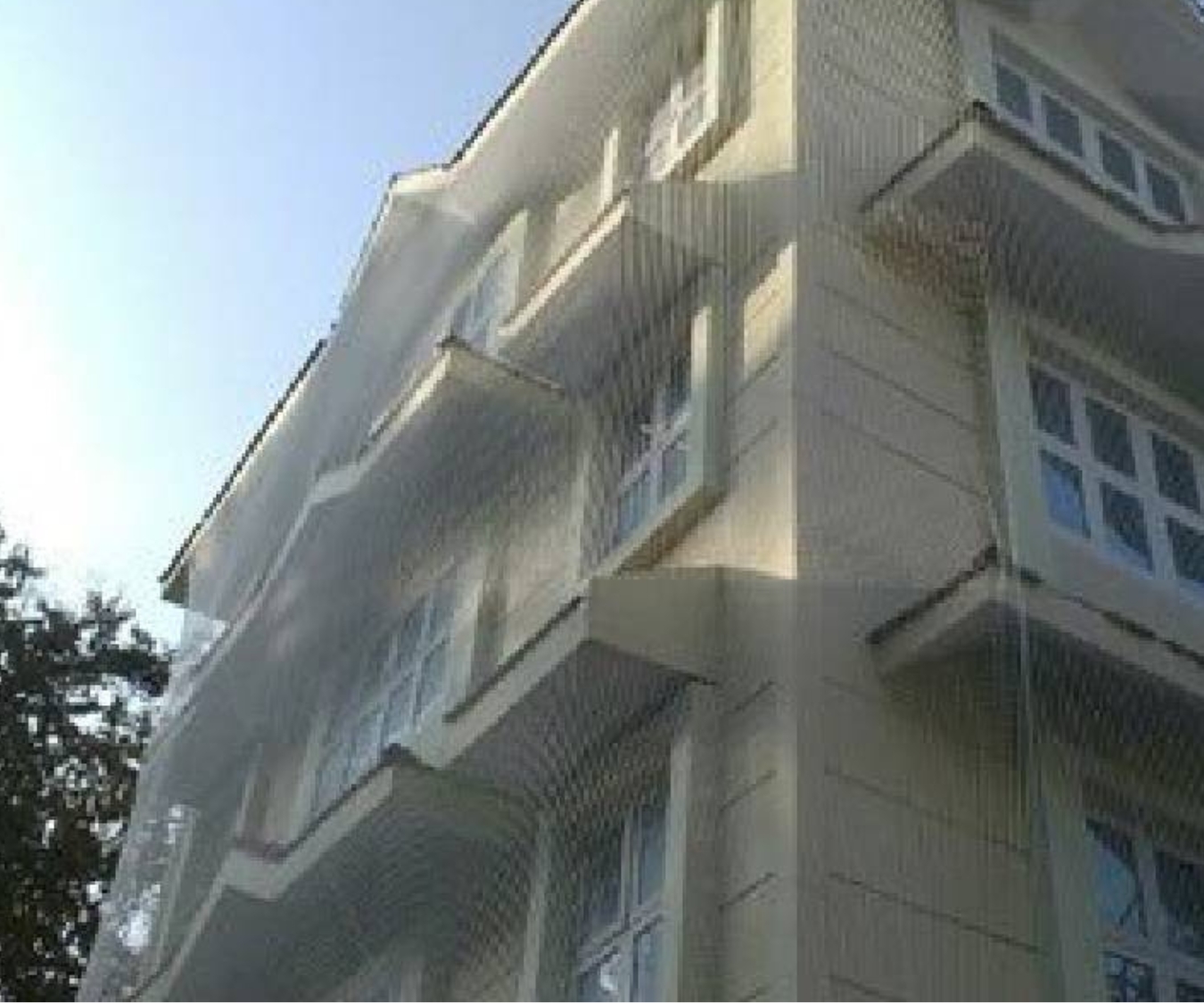 Untitled design (11)